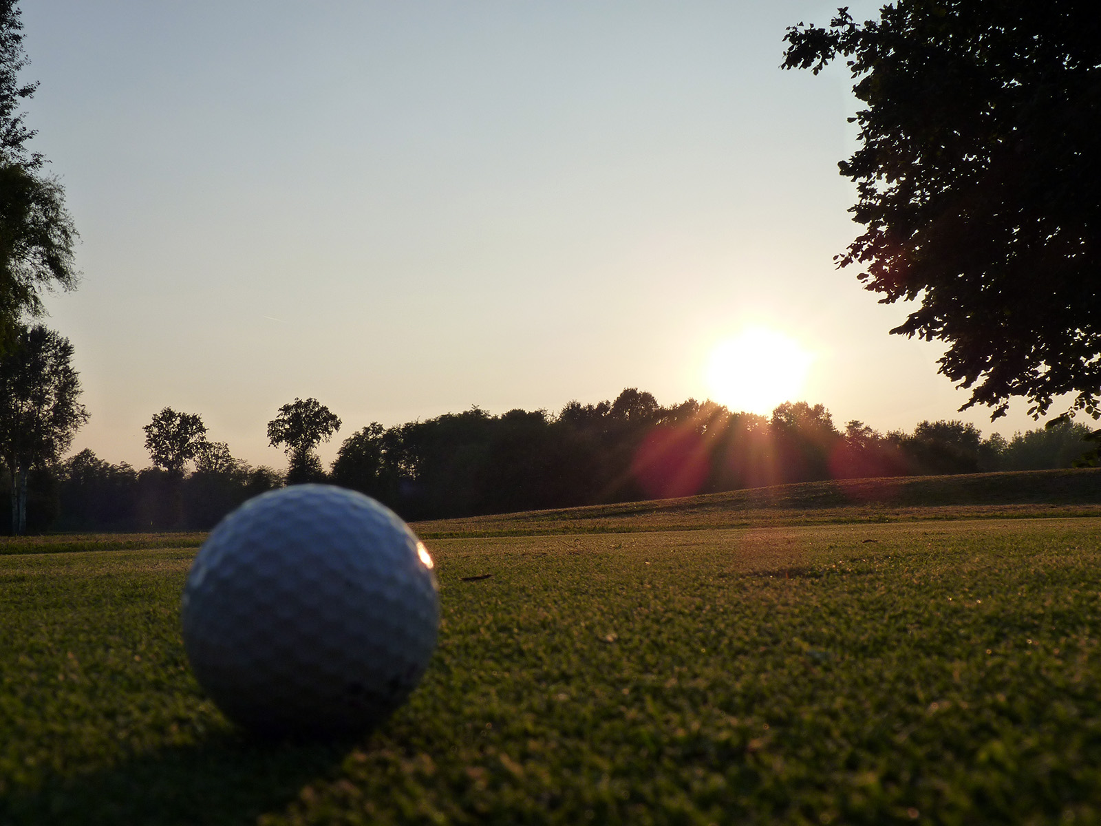 puma golf donna 2014